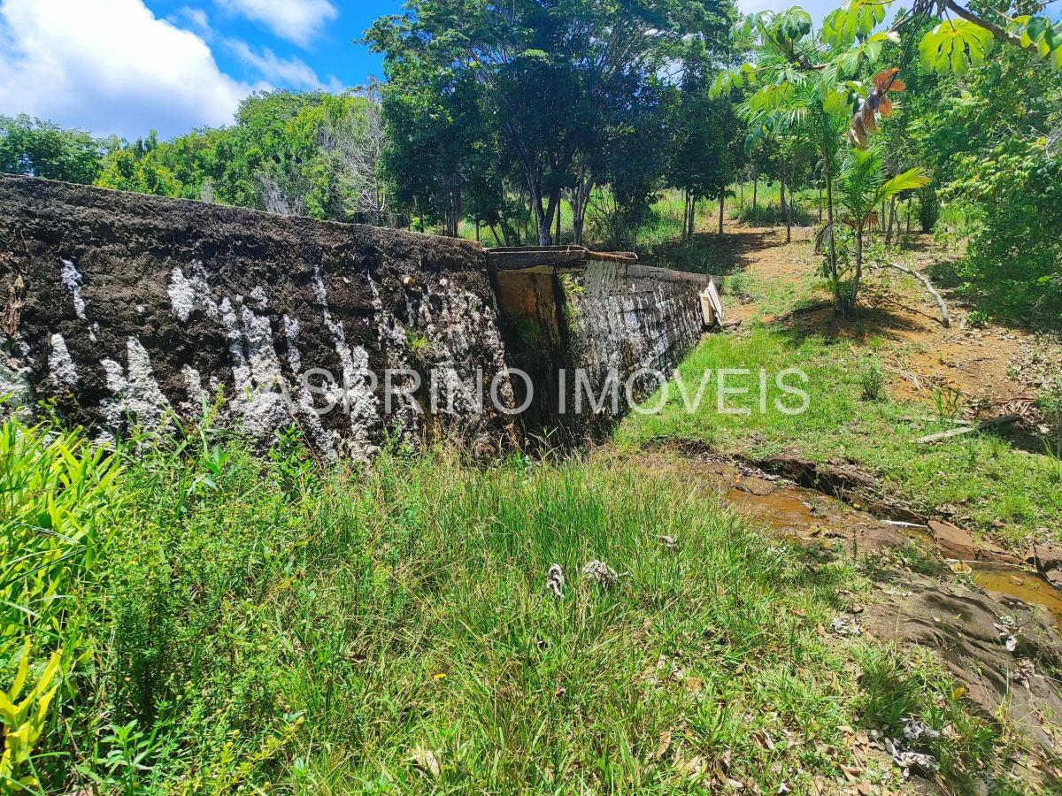 Terreno à venda, 5000m² - Foto 5