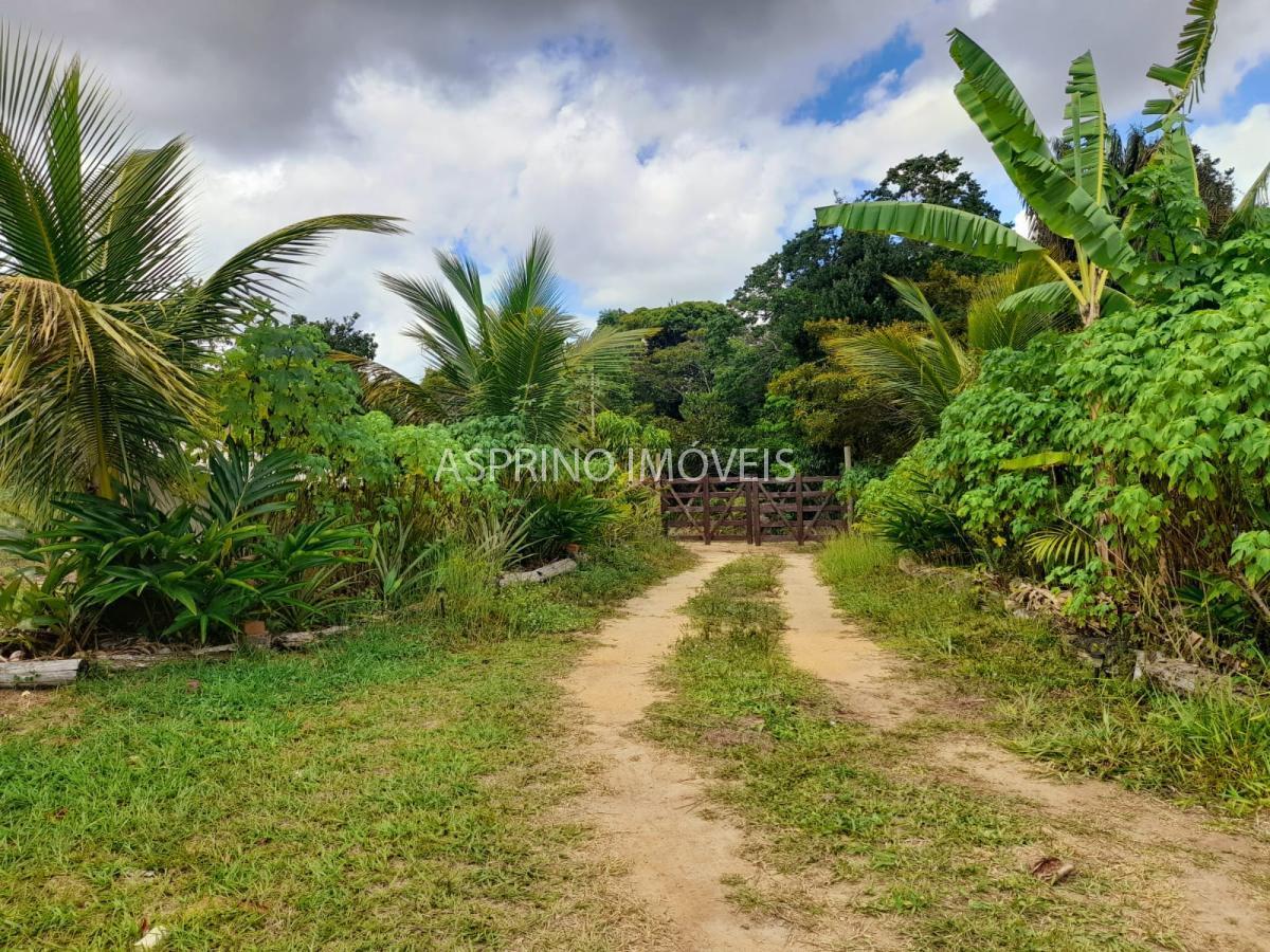 Sítio à venda com 3 quartos, 20000m² - Foto 24