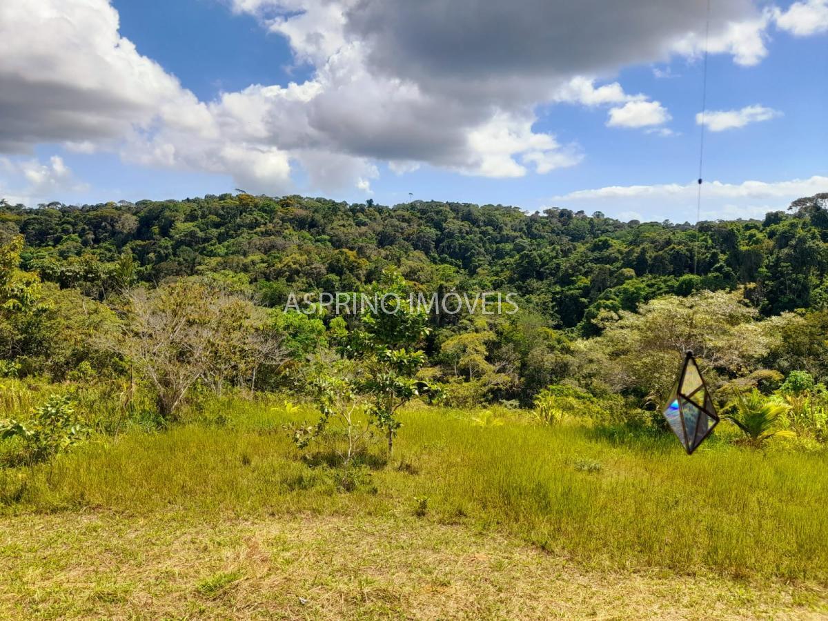 Sítio à venda com 3 quartos, 20000m² - Foto 23