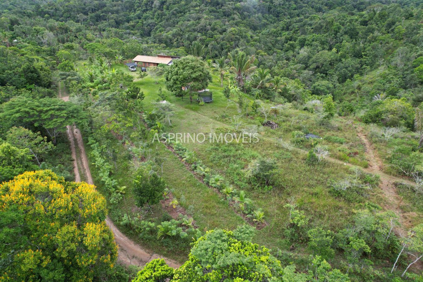 Sítio à venda com 3 quartos, 20000m² - Foto 5