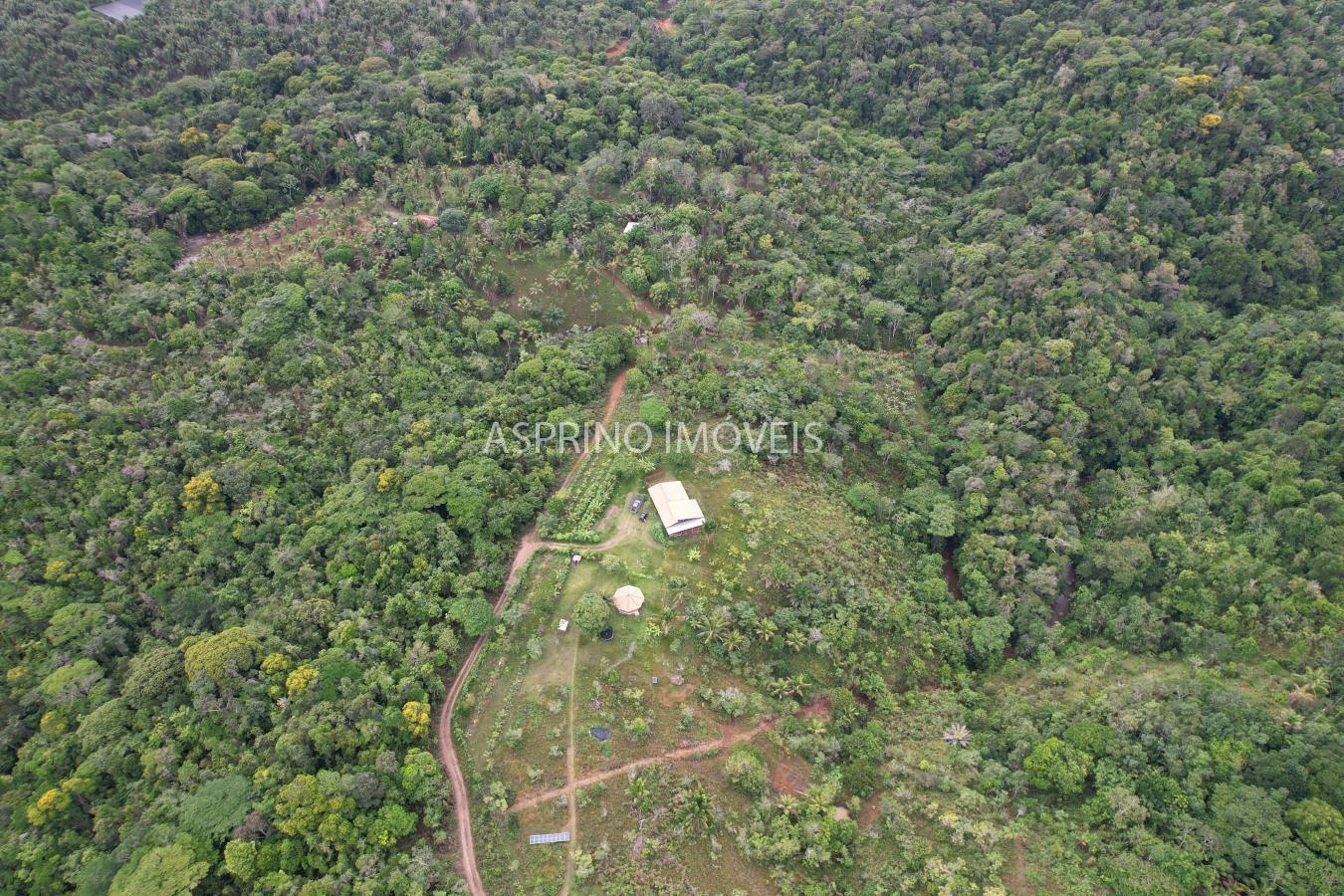 Sítio à venda com 3 quartos, 20000m² - Foto 6