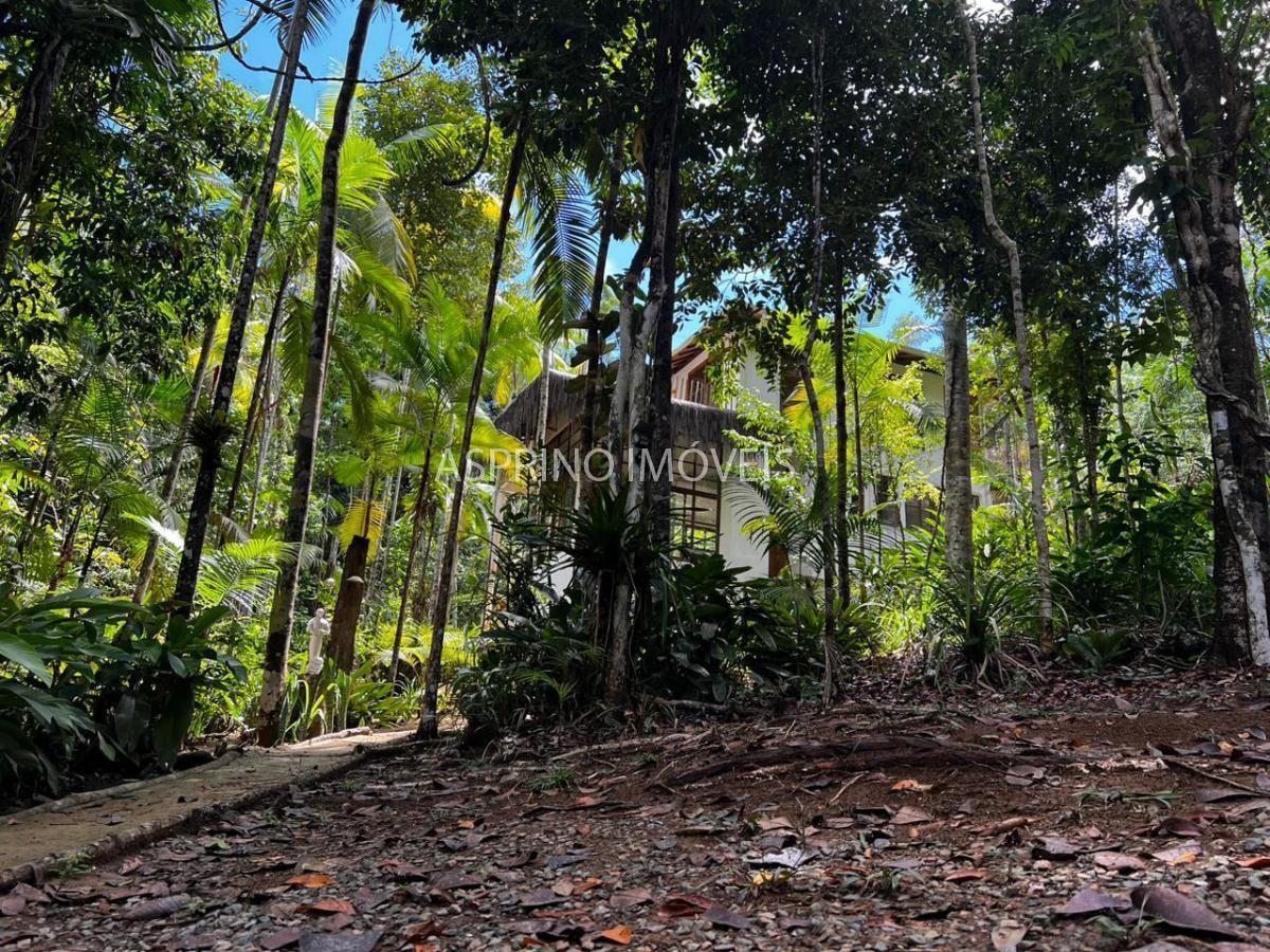 Sítio à venda com 2 quartos, 68000m² - Foto 12