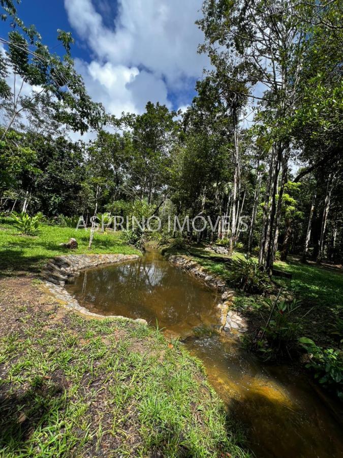 Sítio à venda com 2 quartos, 68000m² - Foto 6