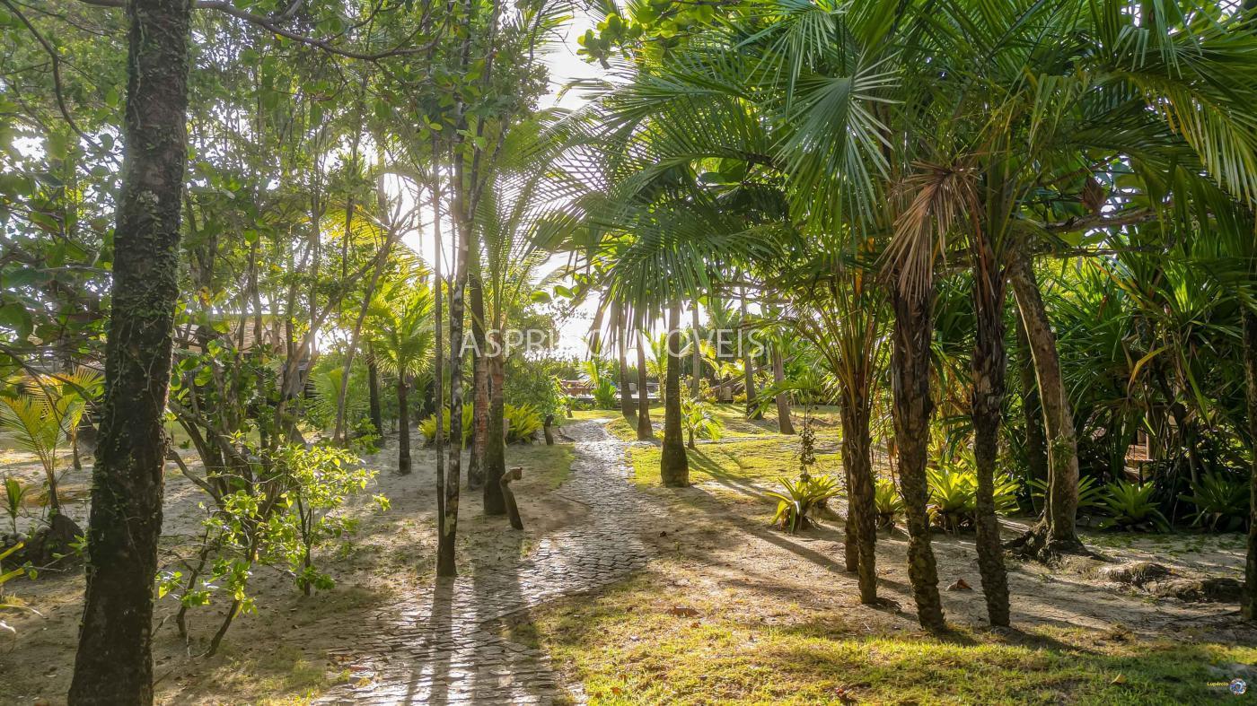 Terreno, 7 hectares - Foto 7