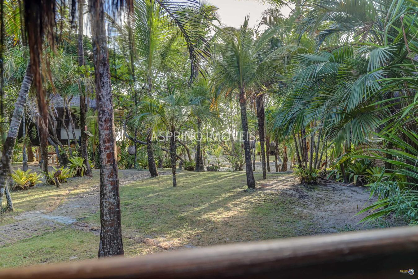 Terreno, 7 hectares - Foto 9