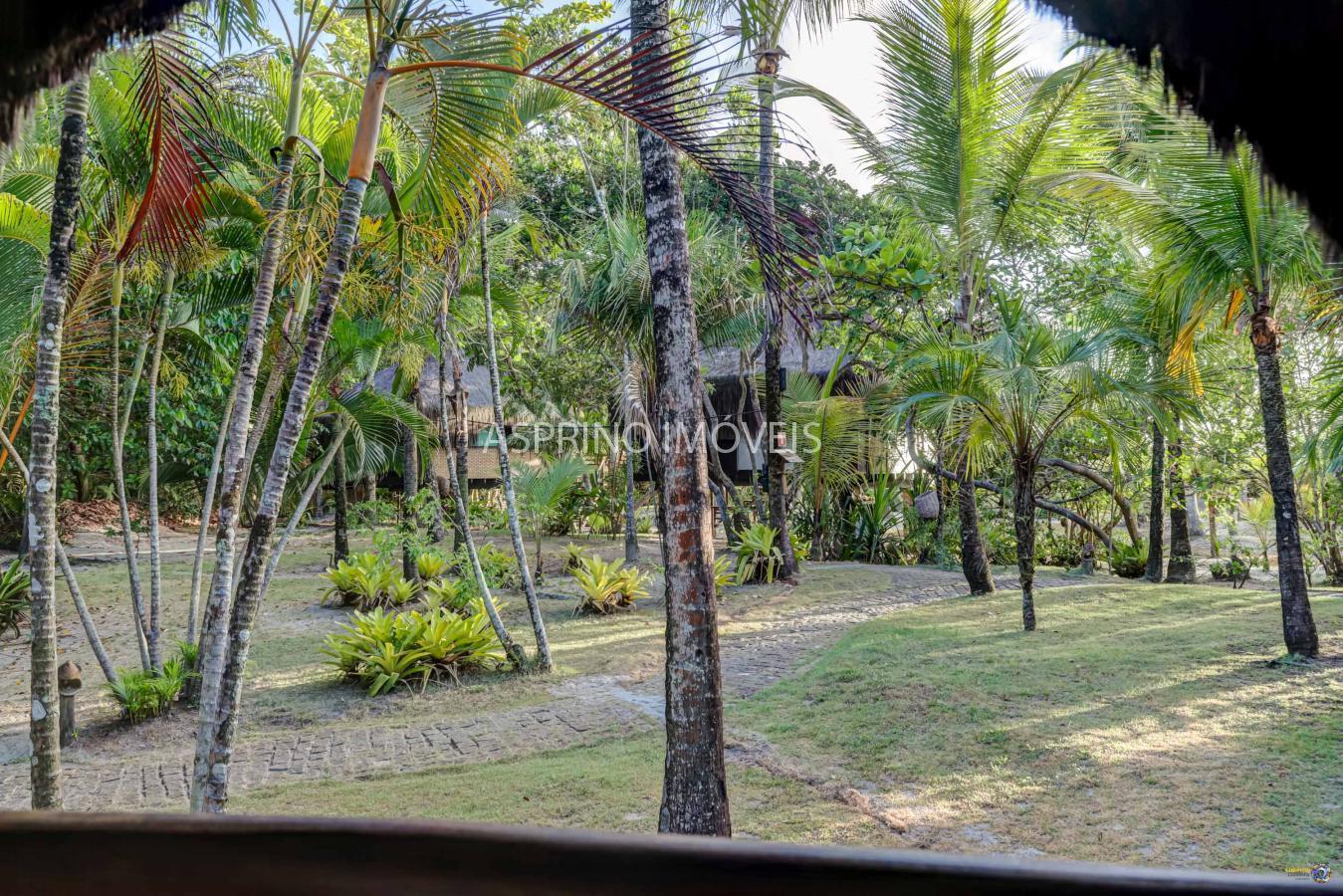 Terreno, 7 hectares - Foto 8