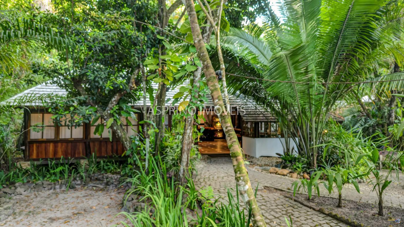 Terreno, 7 hectares - Foto 14