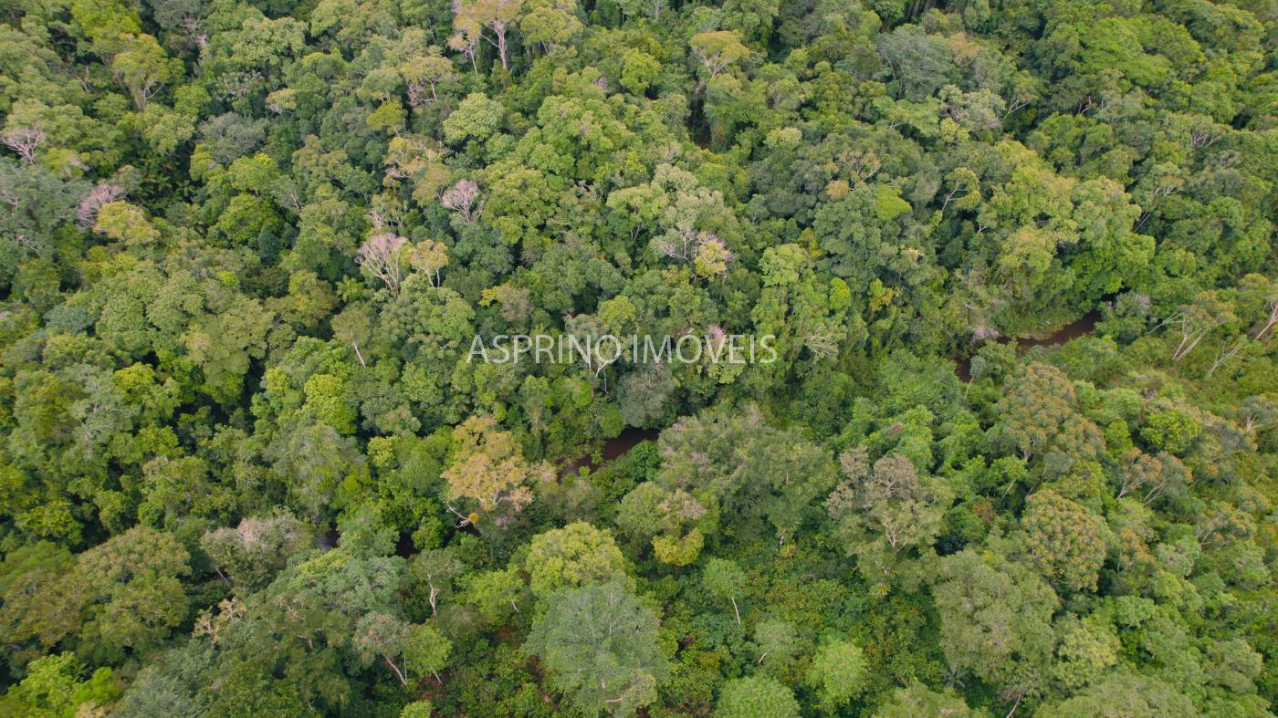 Fazenda à venda, 590000m² - Foto 19