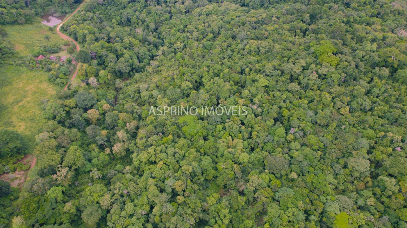 Fazenda à venda, 590000m² - Foto 17