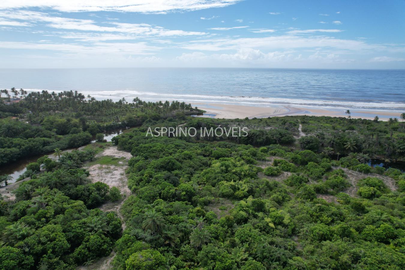 Terreno, 2 hectares - Foto 12