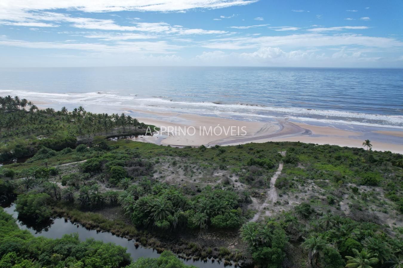 Terreno, 2 hectares - Foto 13