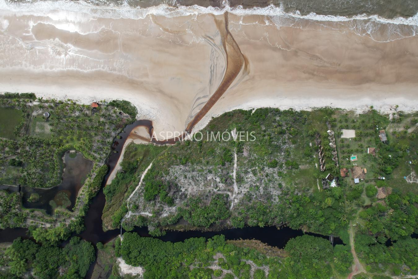 Terreno, 2 hectares - Foto 14