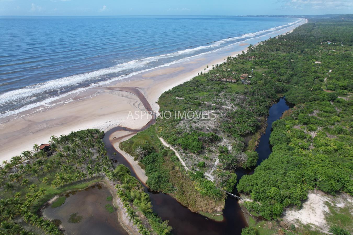 Terreno, 2 hectares - Foto 6