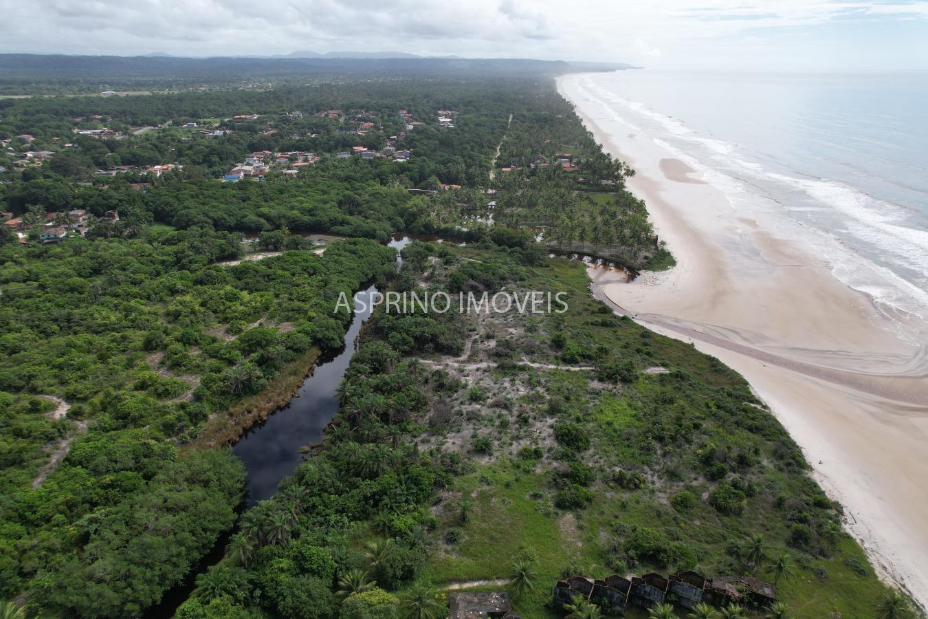 Terreno, 2 hectares - Foto 8