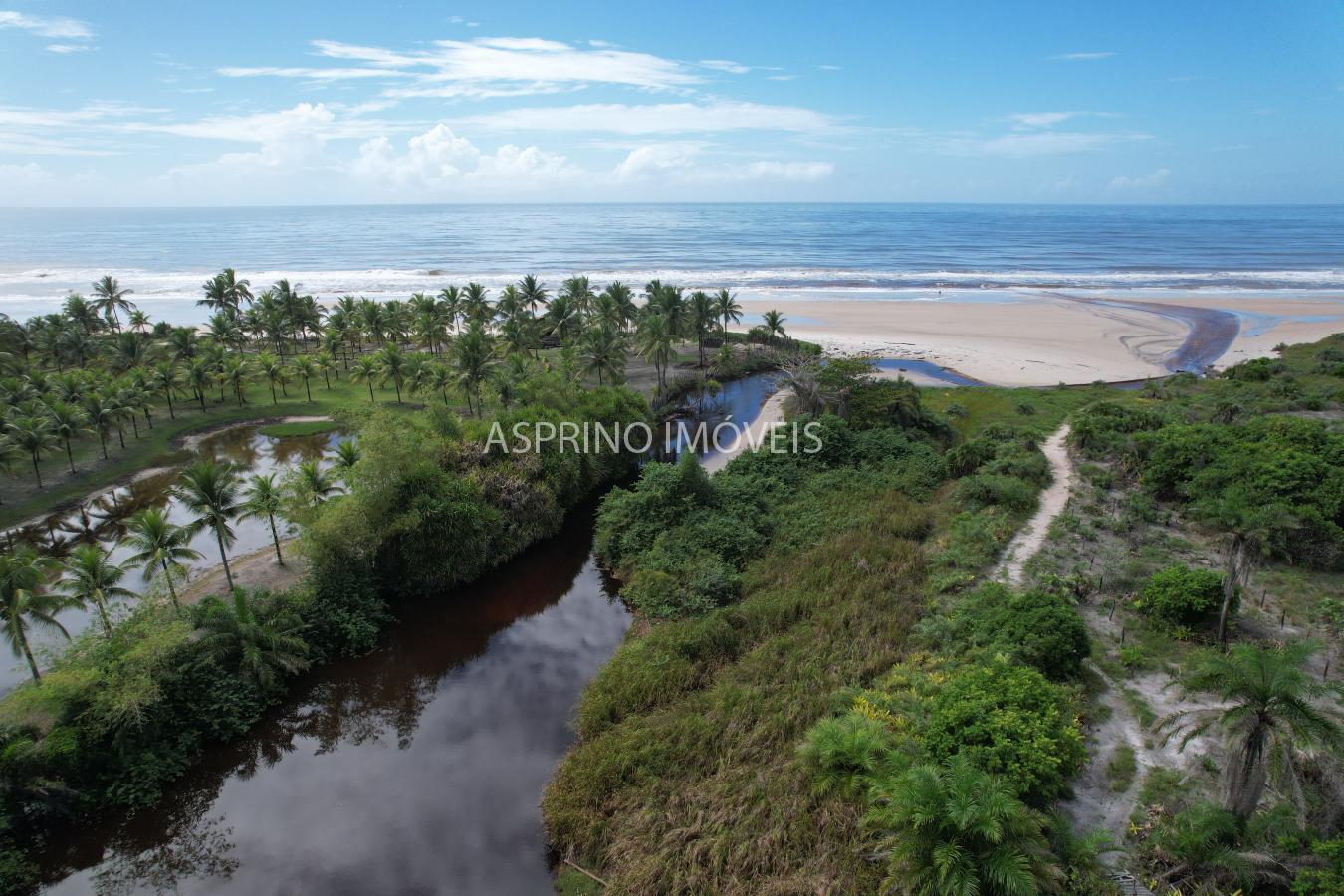 Terreno, 2 hectares - Foto 7