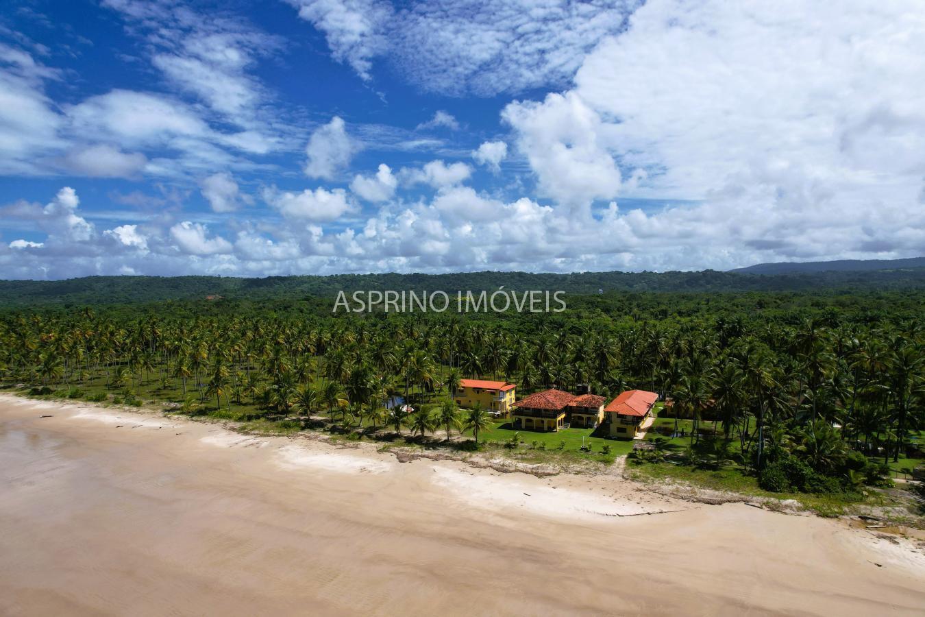 Terreno, 25 hectares - Foto 7