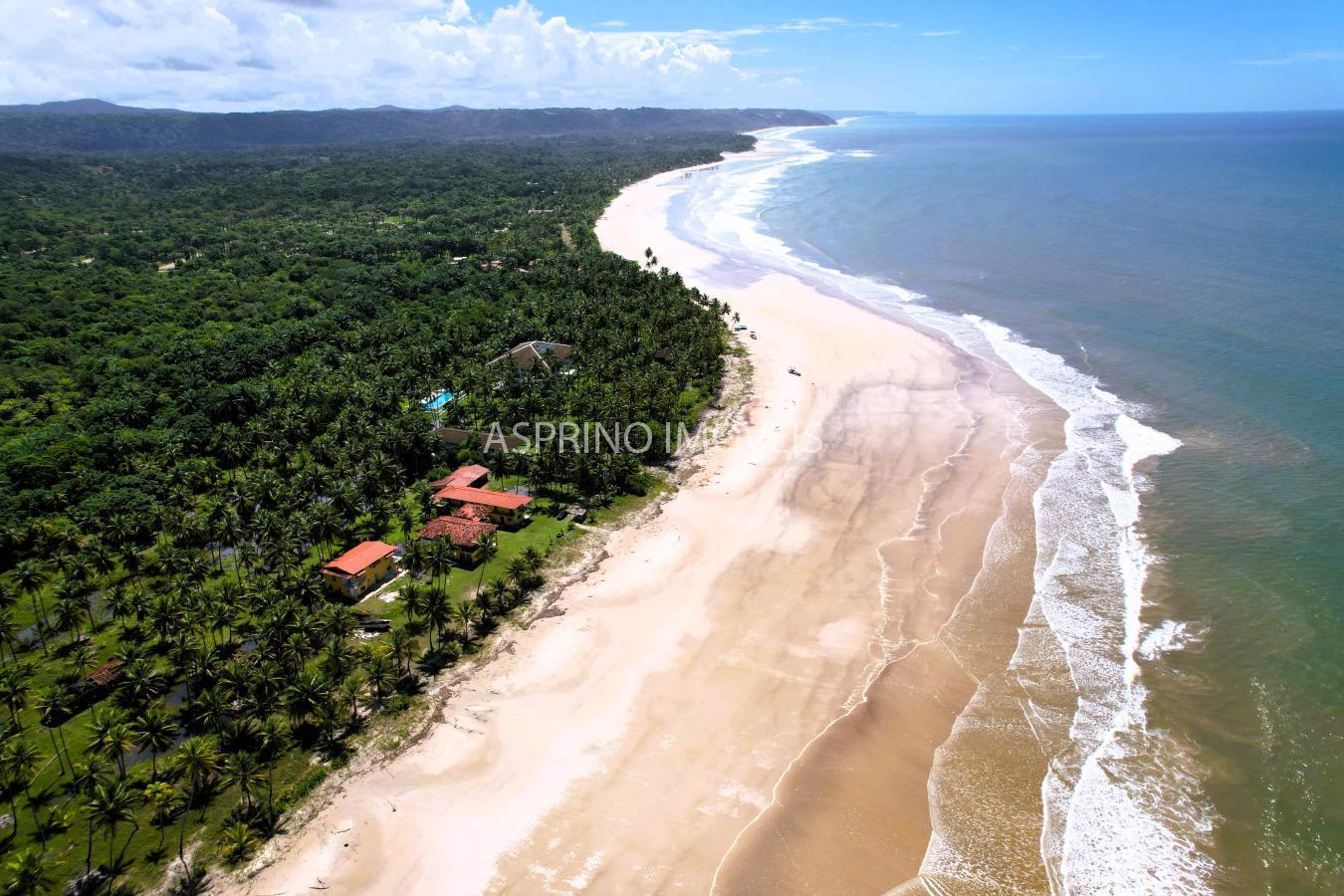 Terreno, 25 hectares - Foto 8