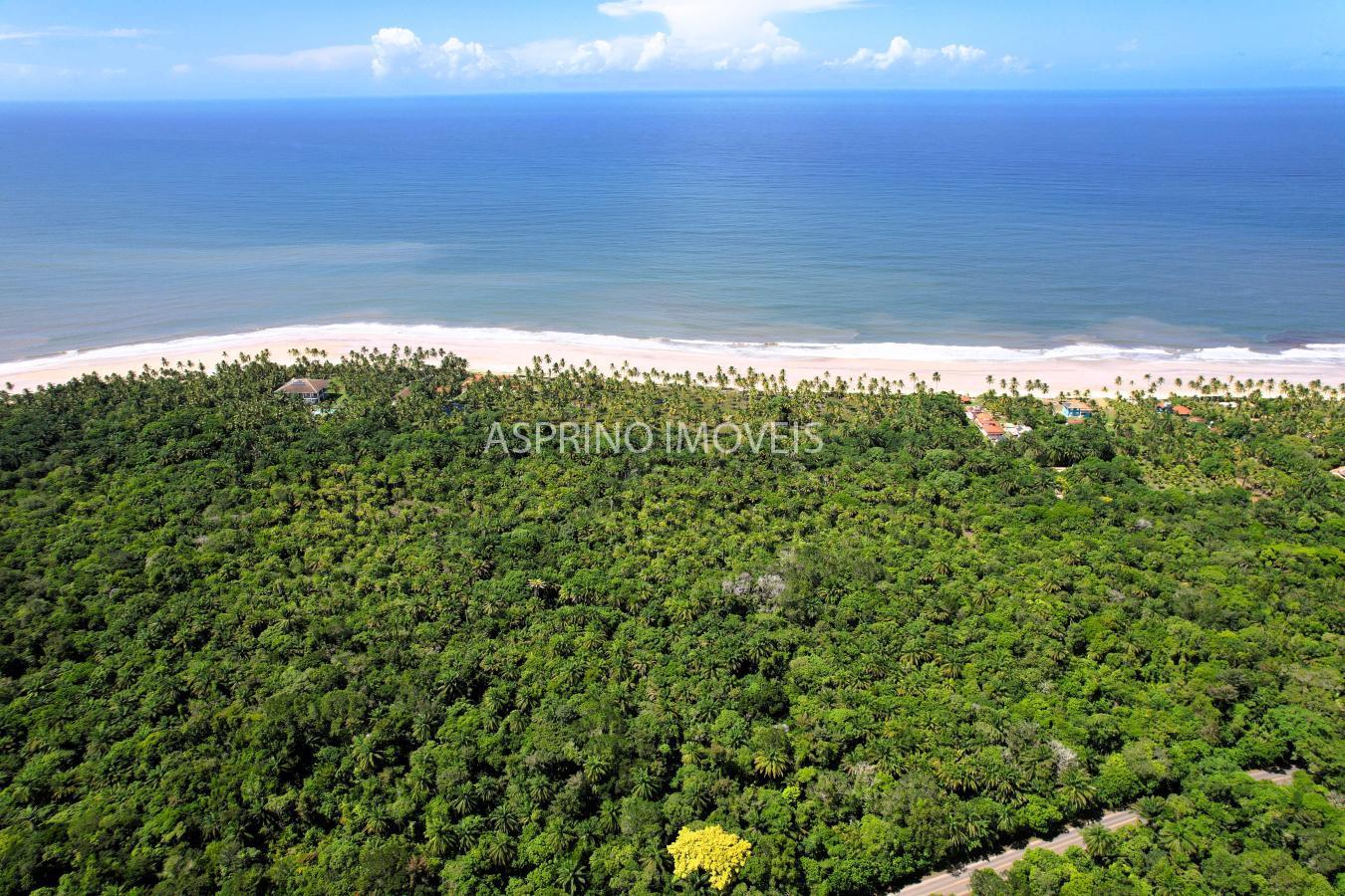 Terreno, 25 hectares - Foto 4