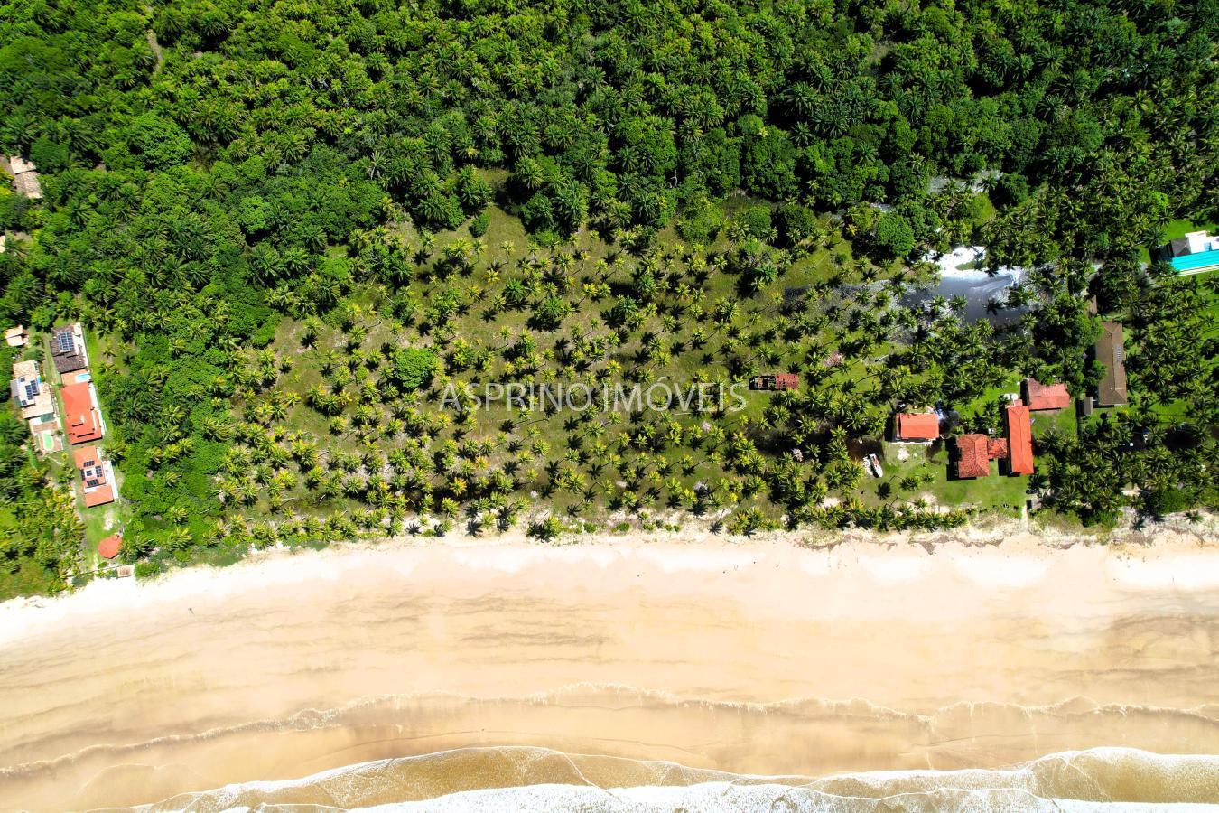 Terreno, 25 hectares - Foto 6