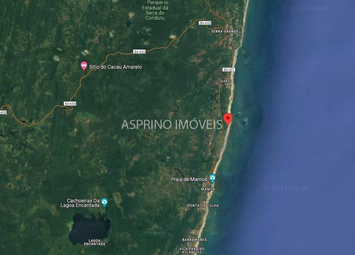 Terreno, 25 hectares - Foto 3