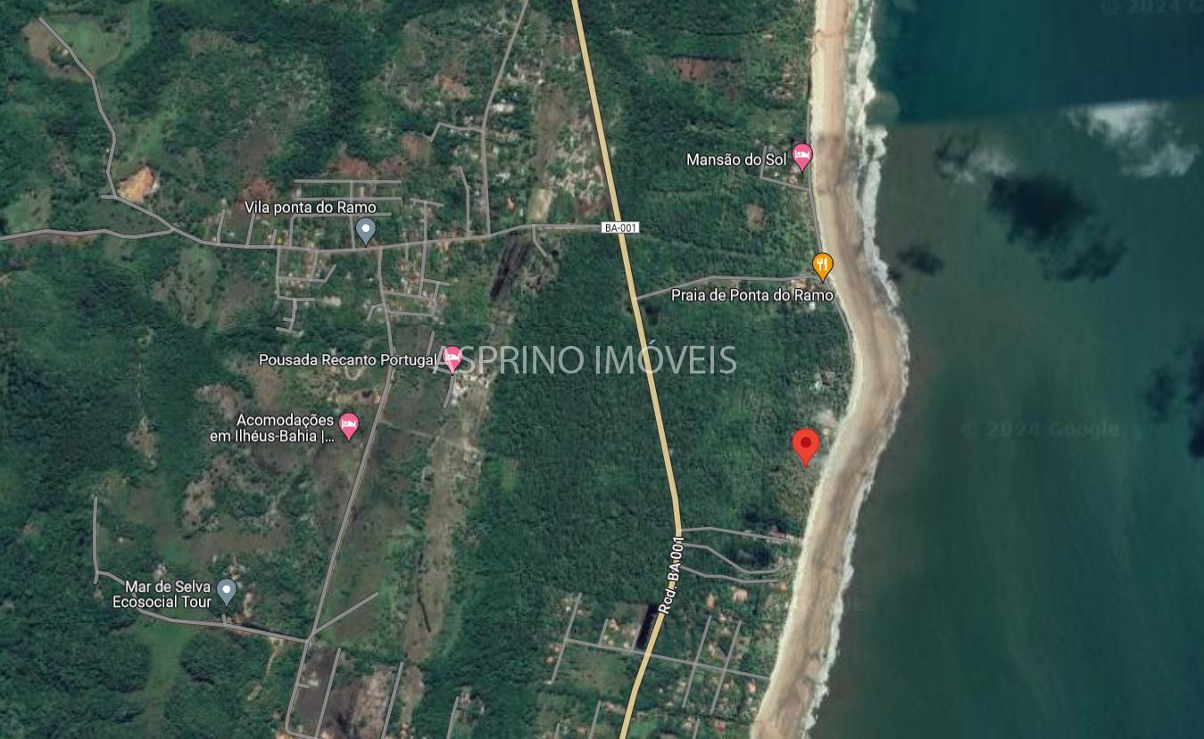 Terreno, 25 hectares - Foto 2