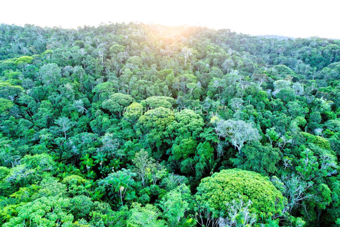 Terreno, 9555 m² - Foto 28