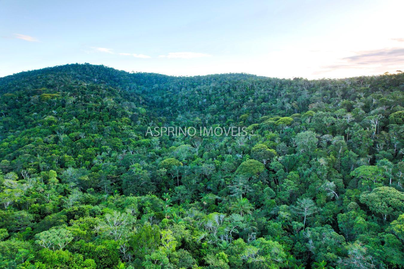 Terreno, 9555 m² - Foto 3