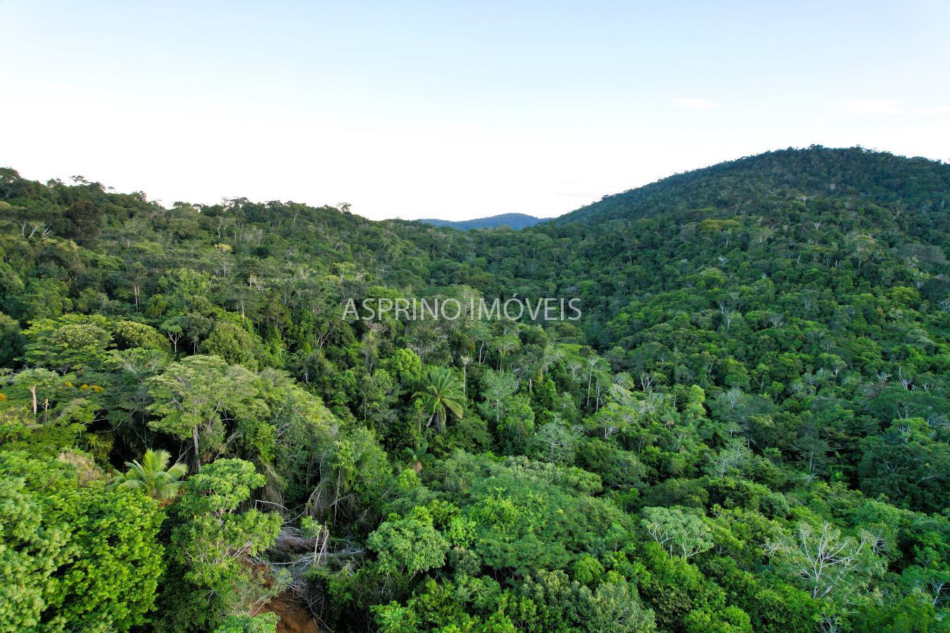 Terreno, 9555 m² - Foto 4