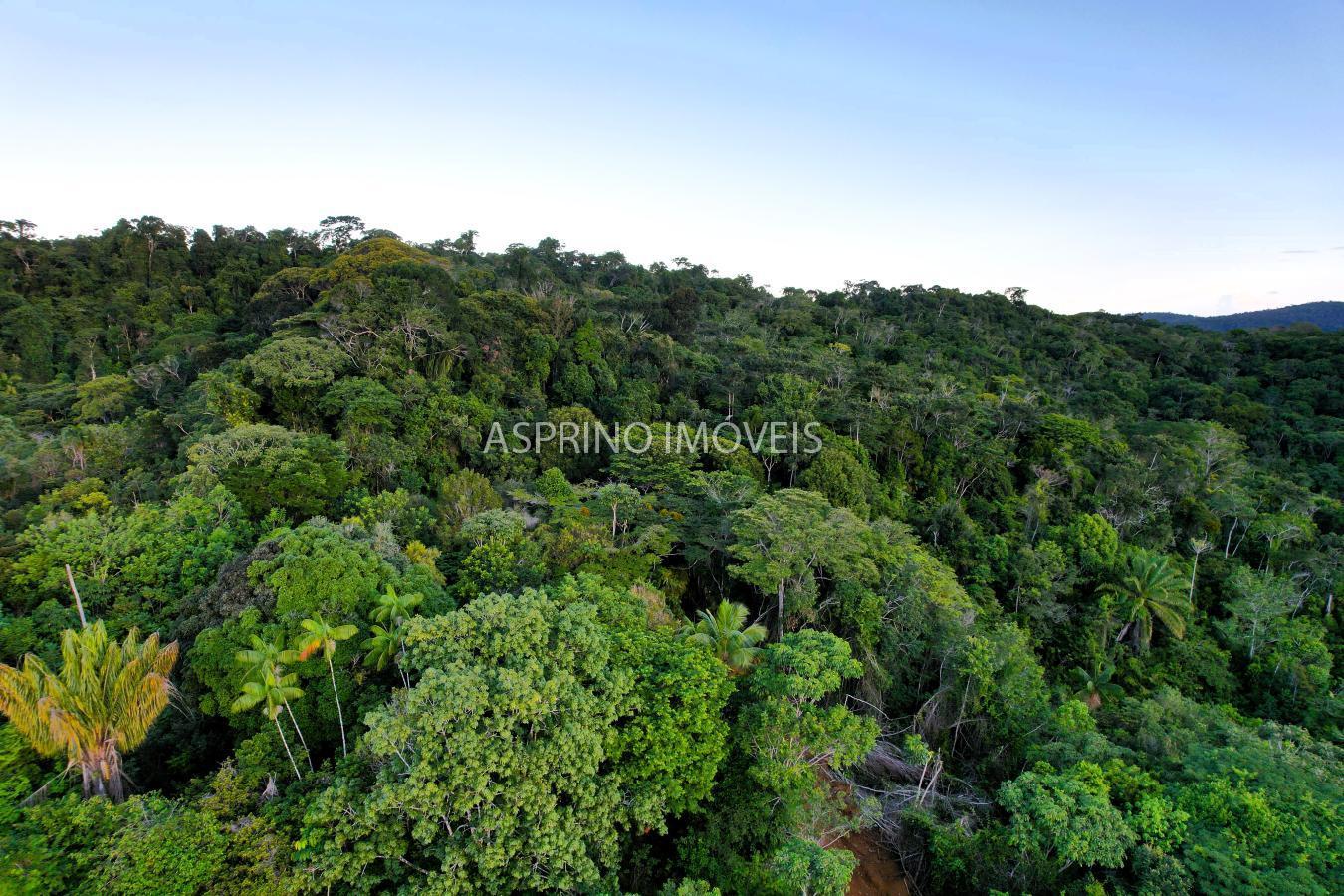 Terreno, 9555 m² - Foto 5