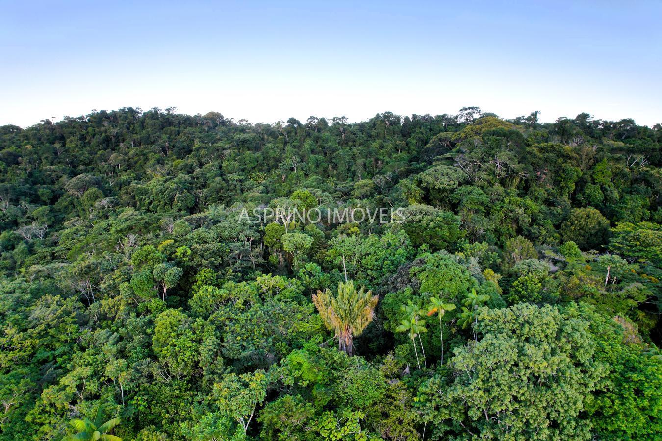 Terreno, 9555 m² - Foto 6