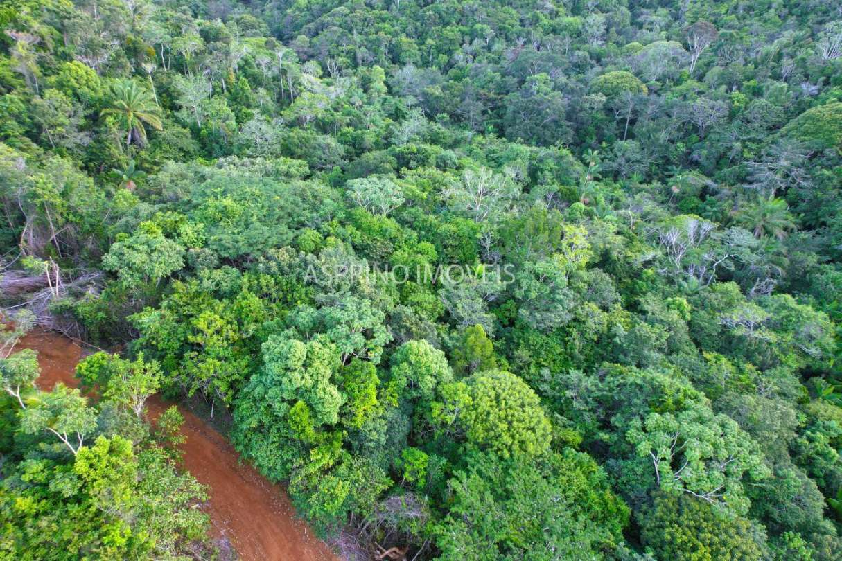 Terreno, 9555 m² - Foto 7