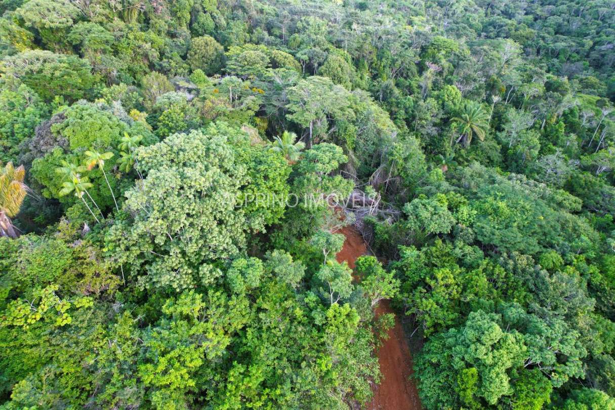 Terreno, 9555 m² - Foto 8