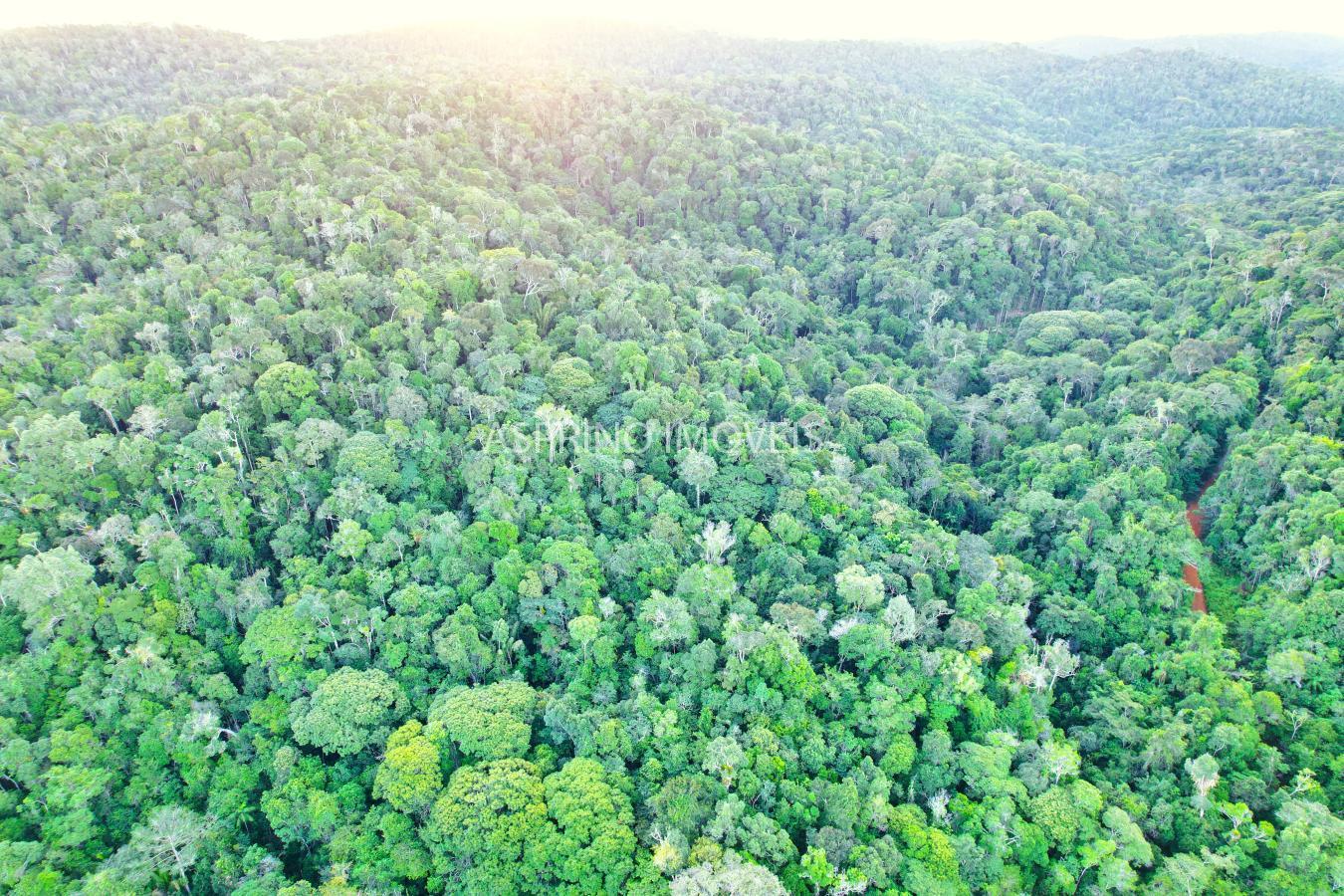 Terreno, 9555 m² - Foto 11