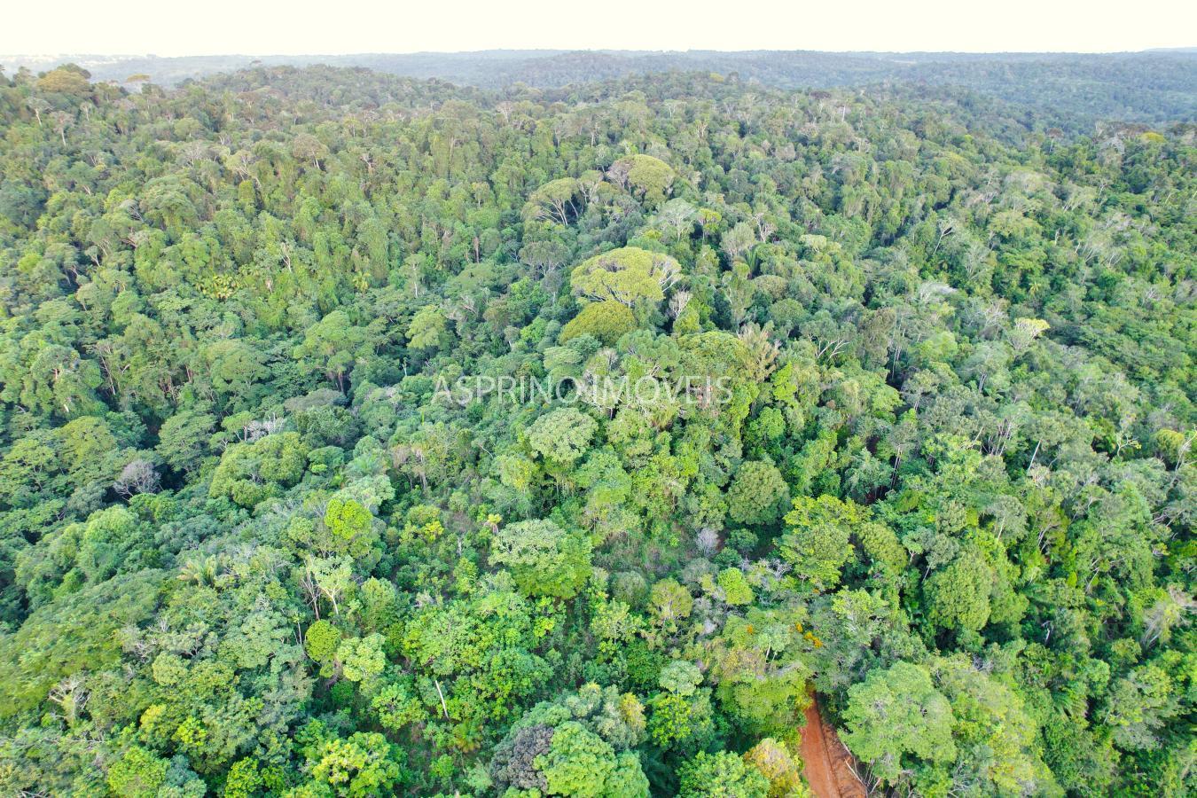 Terreno, 9555 m² - Foto 14