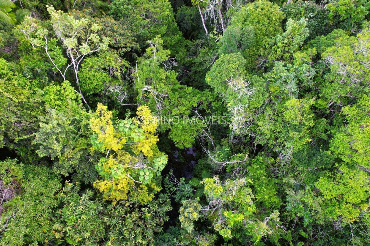 Terreno, 9555 m² - Foto 16