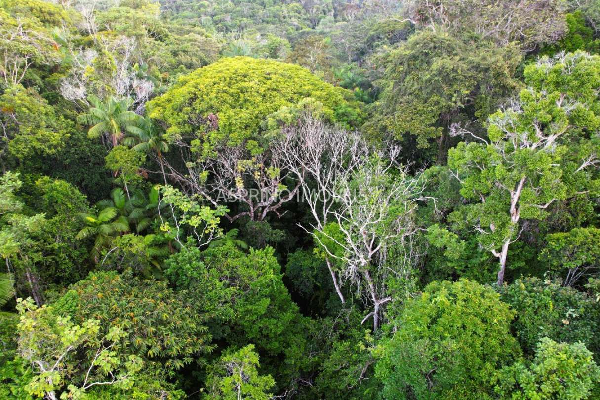 Terreno, 9555 m² - Foto 17