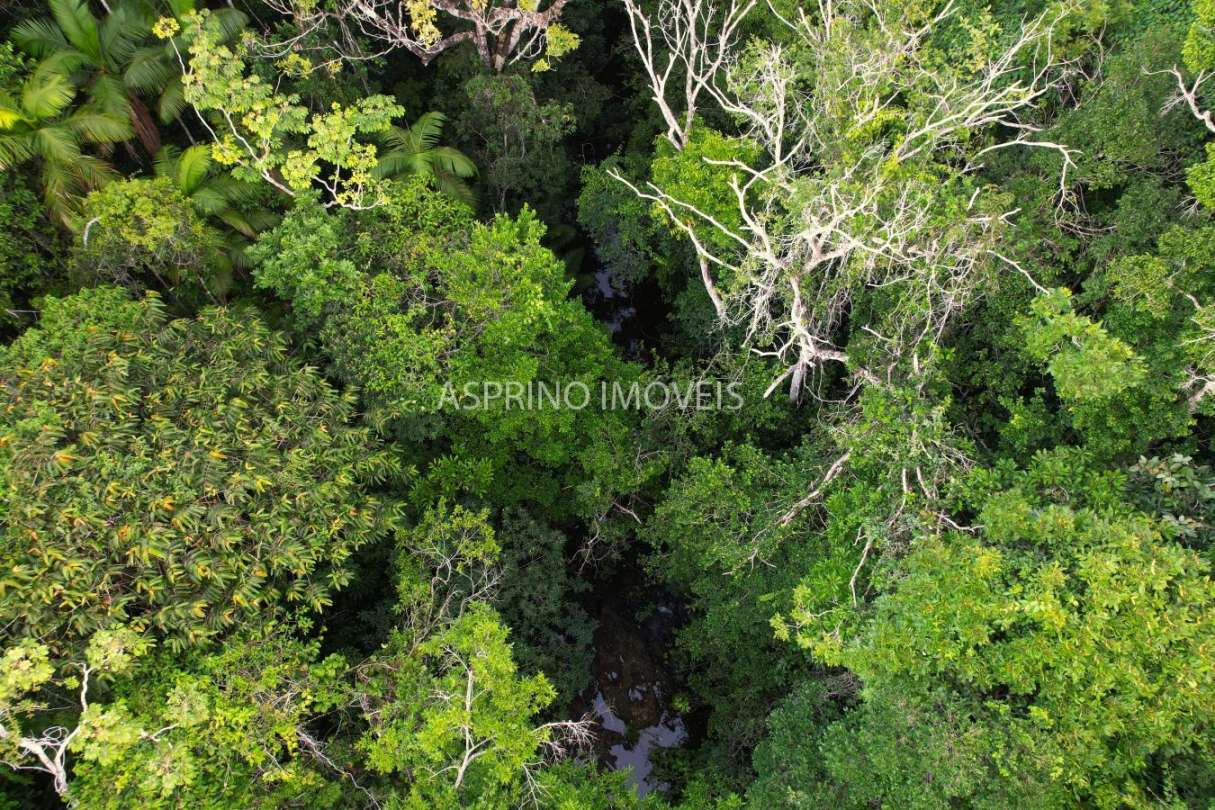 Terreno, 9555 m² - Foto 19