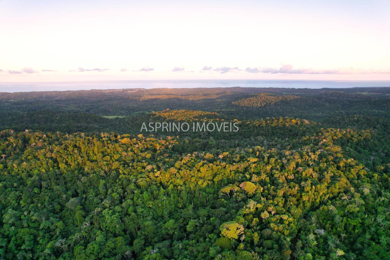 Terreno, 9555 m² - Foto 24