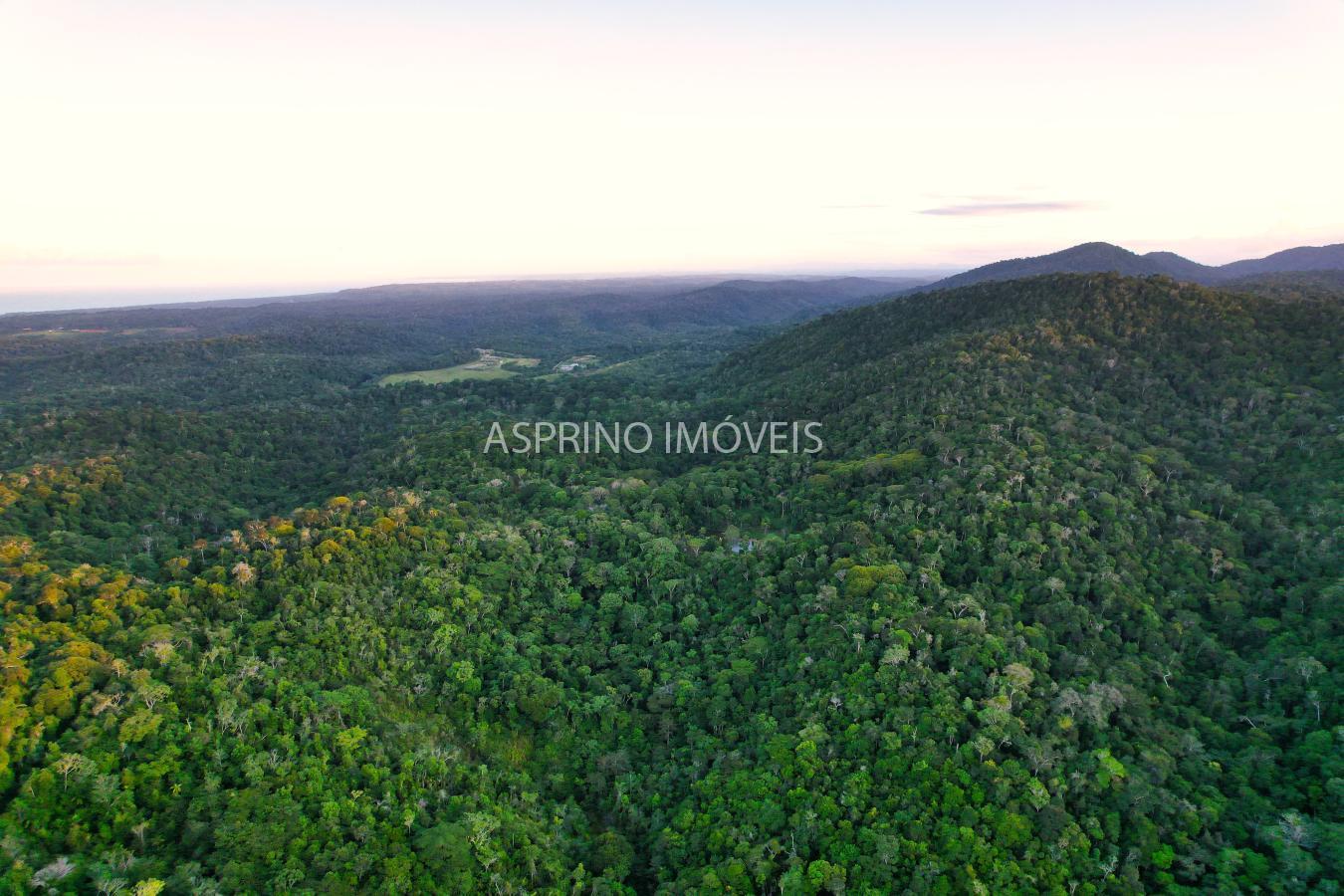 Terreno, 9555 m² - Foto 1