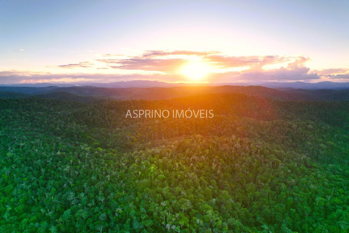 Terreno, 9555 m² - Foto 26