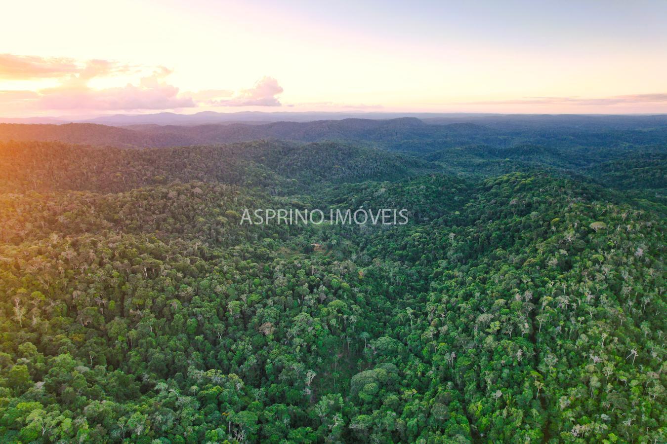 Terreno, 9555 m² - Foto 27