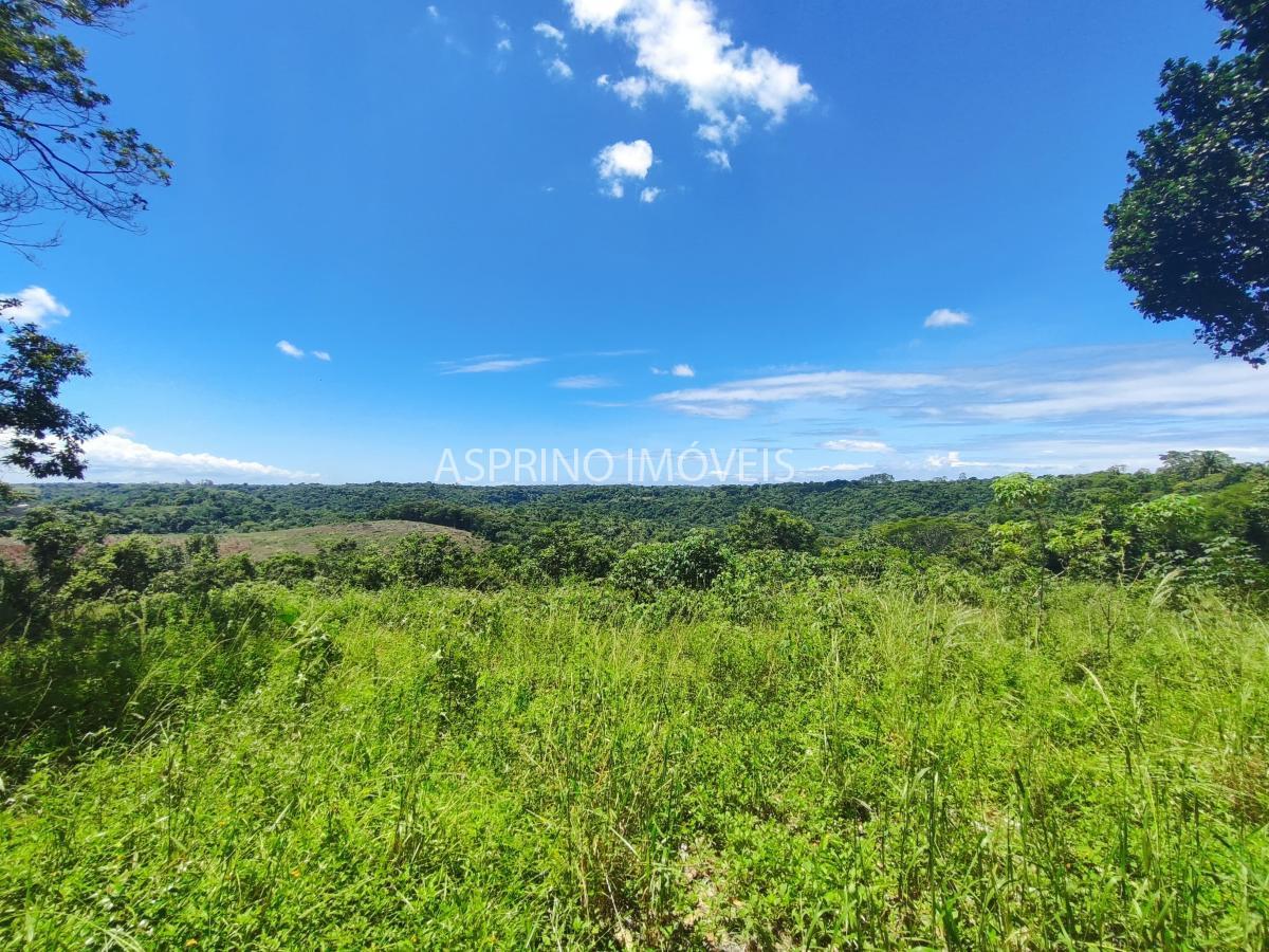 Fazenda, 18 hectares - Foto 15