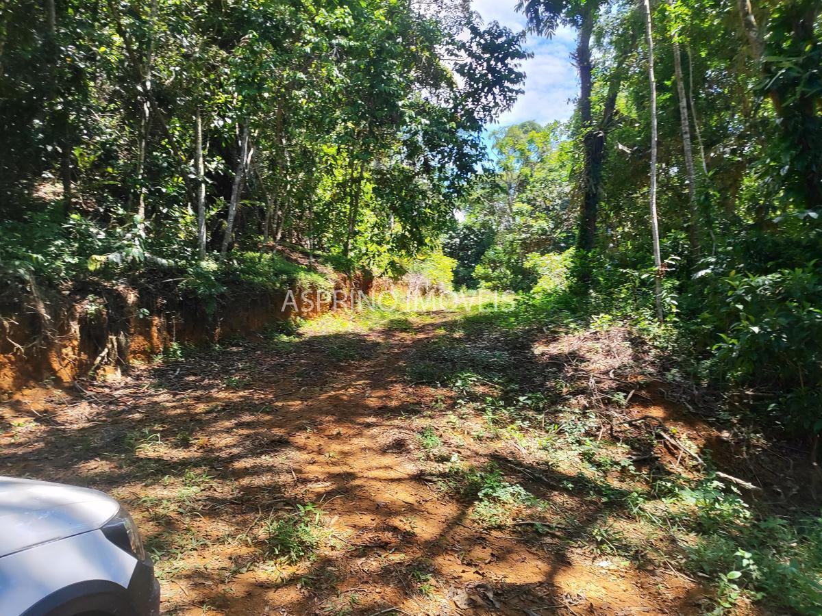 Fazenda, 18 hectares - Foto 17