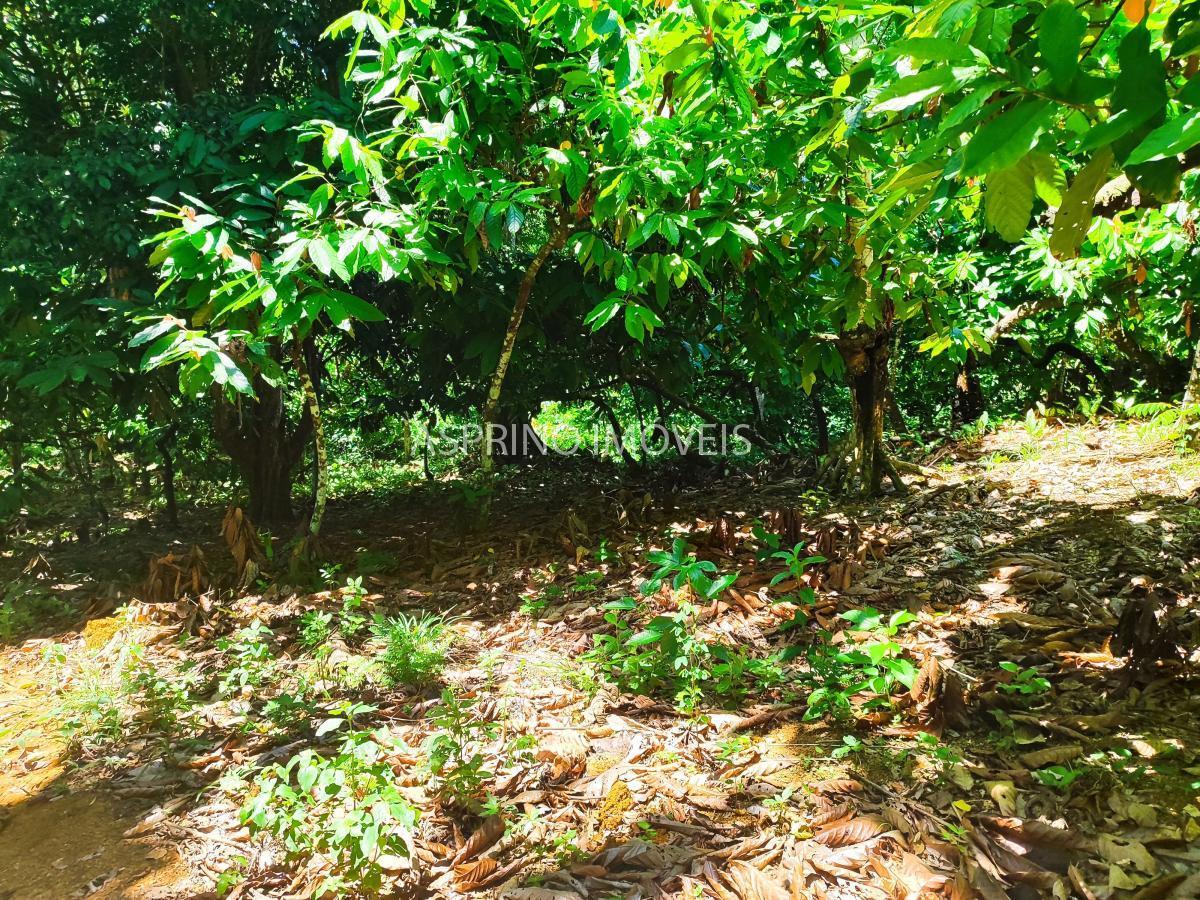 Fazenda, 18 hectares - Foto 19