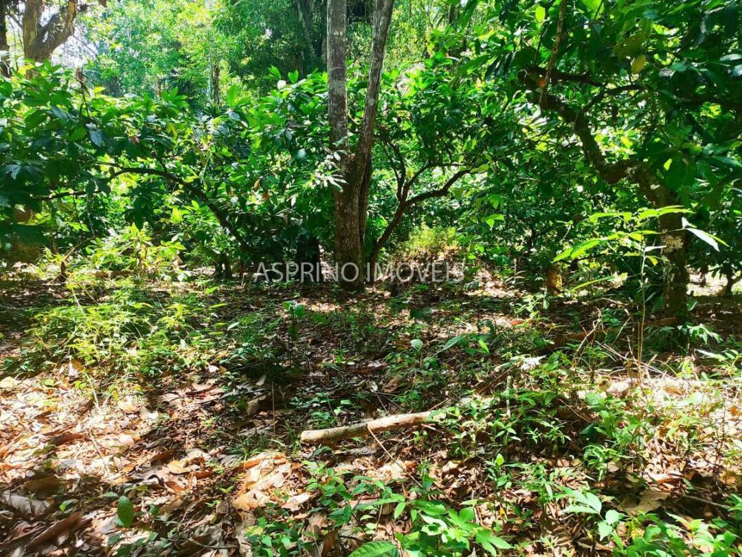 Fazenda, 18 hectares - Foto 18