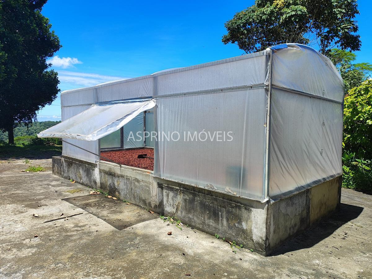 Fazenda, 18 hectares - Foto 11