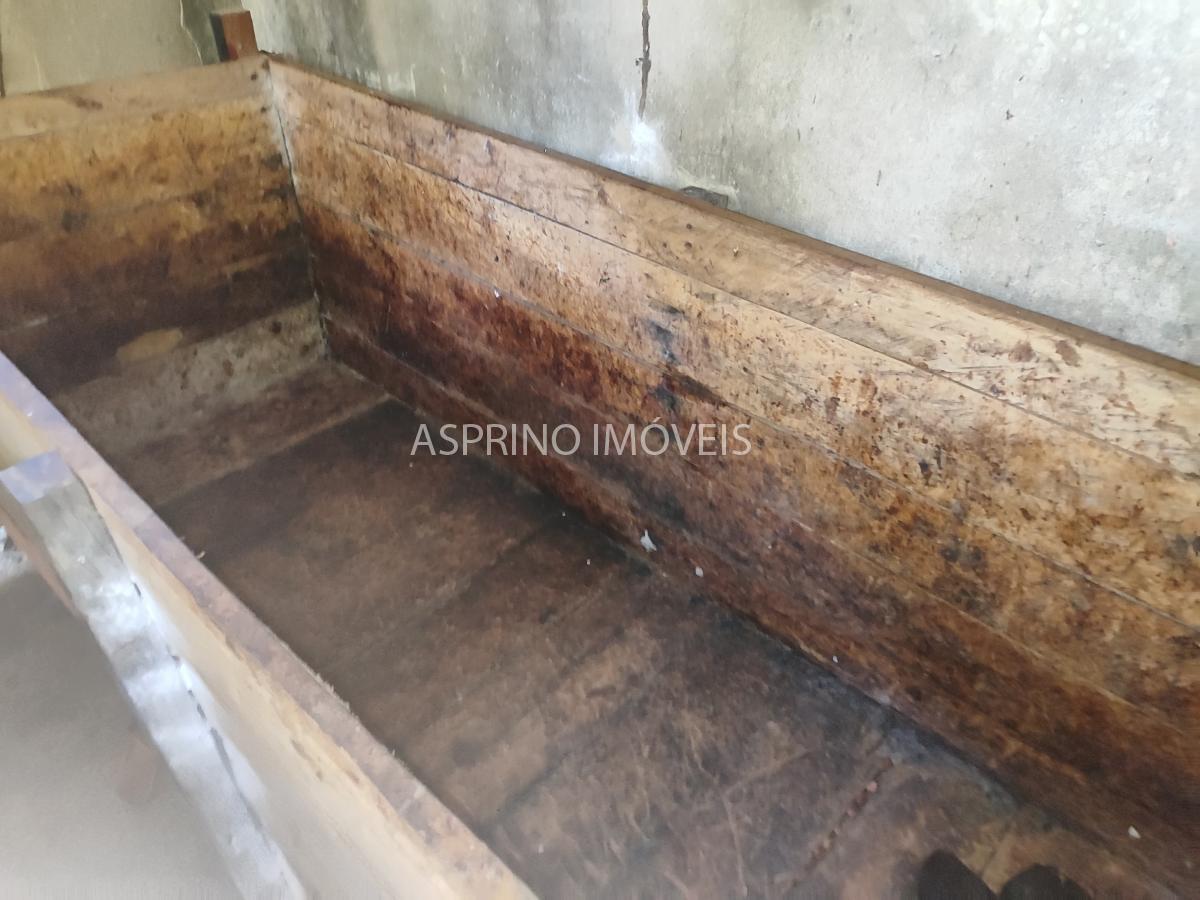 Fazenda, 18 hectares - Foto 13