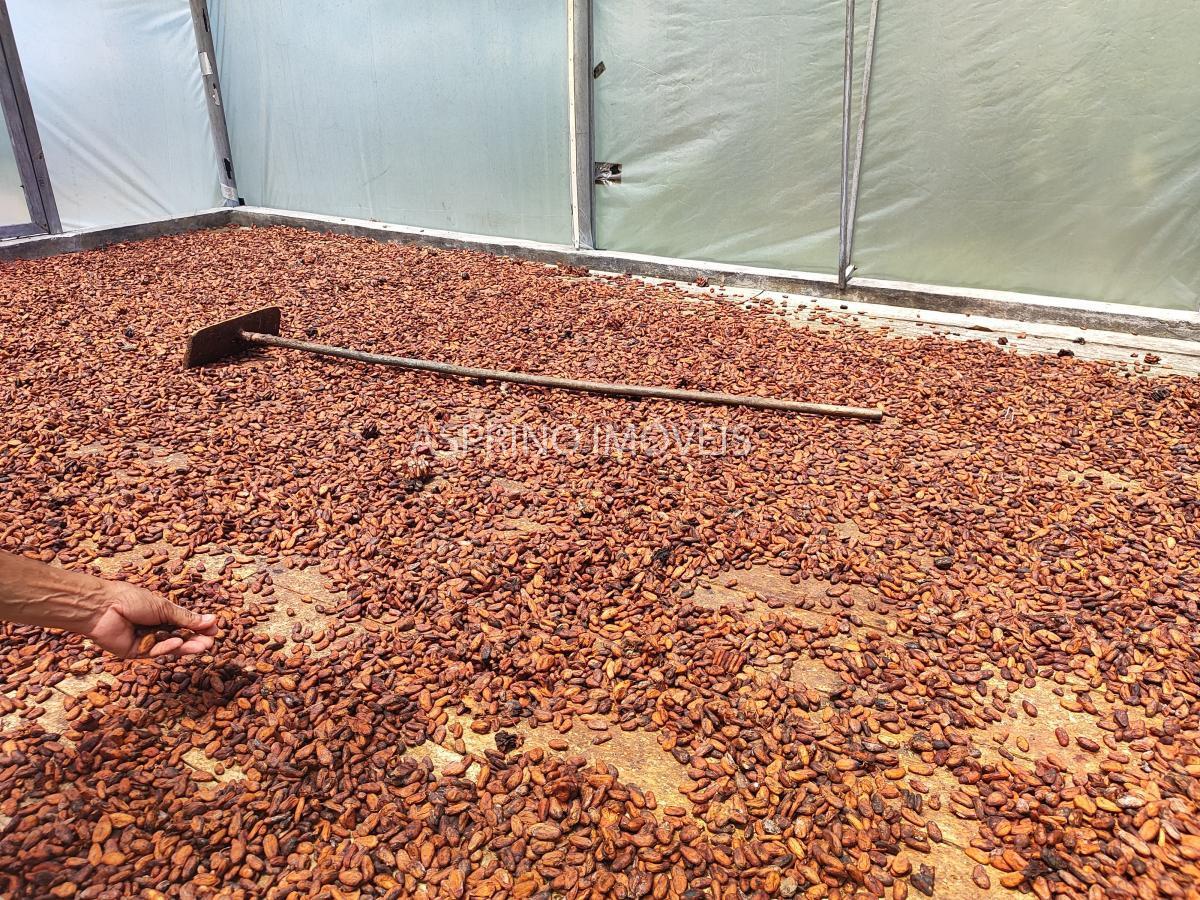 Fazenda, 18 hectares - Foto 12