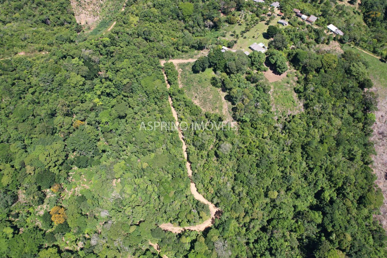 Fazenda, 18 hectares - Foto 23