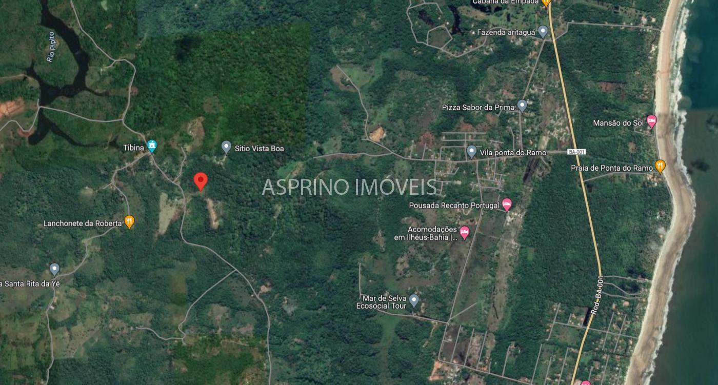 Terreno, 2 hectares - Foto 2